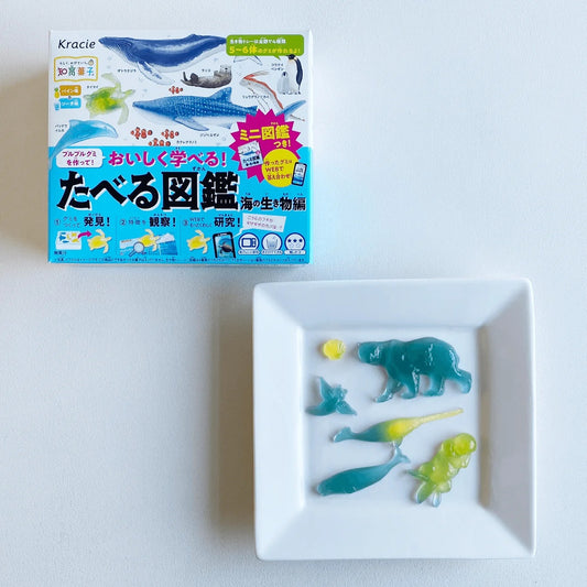 Kracie Taberu Picture Book Sea Creatures 13gx5 知育果子创意DIY食玩 海洋图鉴 たべる図鑑 海の生き物編