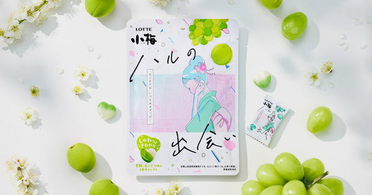Lotte Koume Candy Ball Haru No De Ai Edition 60gx6x12 乐天 小梅 绿色的邂逅  梅子糖 ロッテ　小梅　ハルの出会い６０ｇ